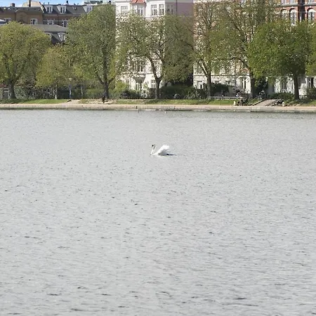 Homely And Spacious In Cph Kopenhagen