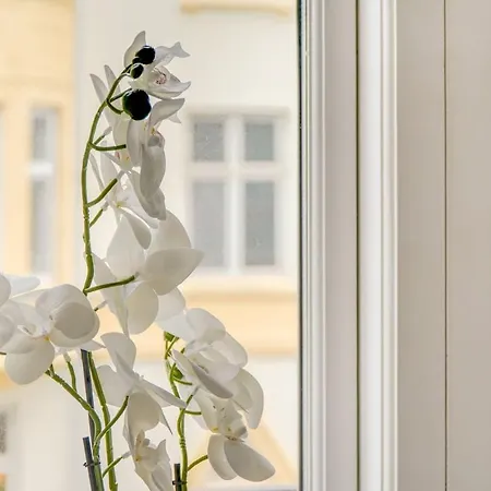 Homely And Spacious In Cph Copenhagen