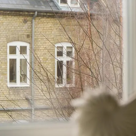 Homely And Spacious In Cph